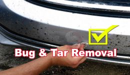 Bug & Tar Removal